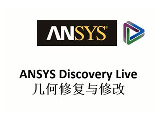 3޸޸ġANSYS Discovery Live ѵƵ̡̳